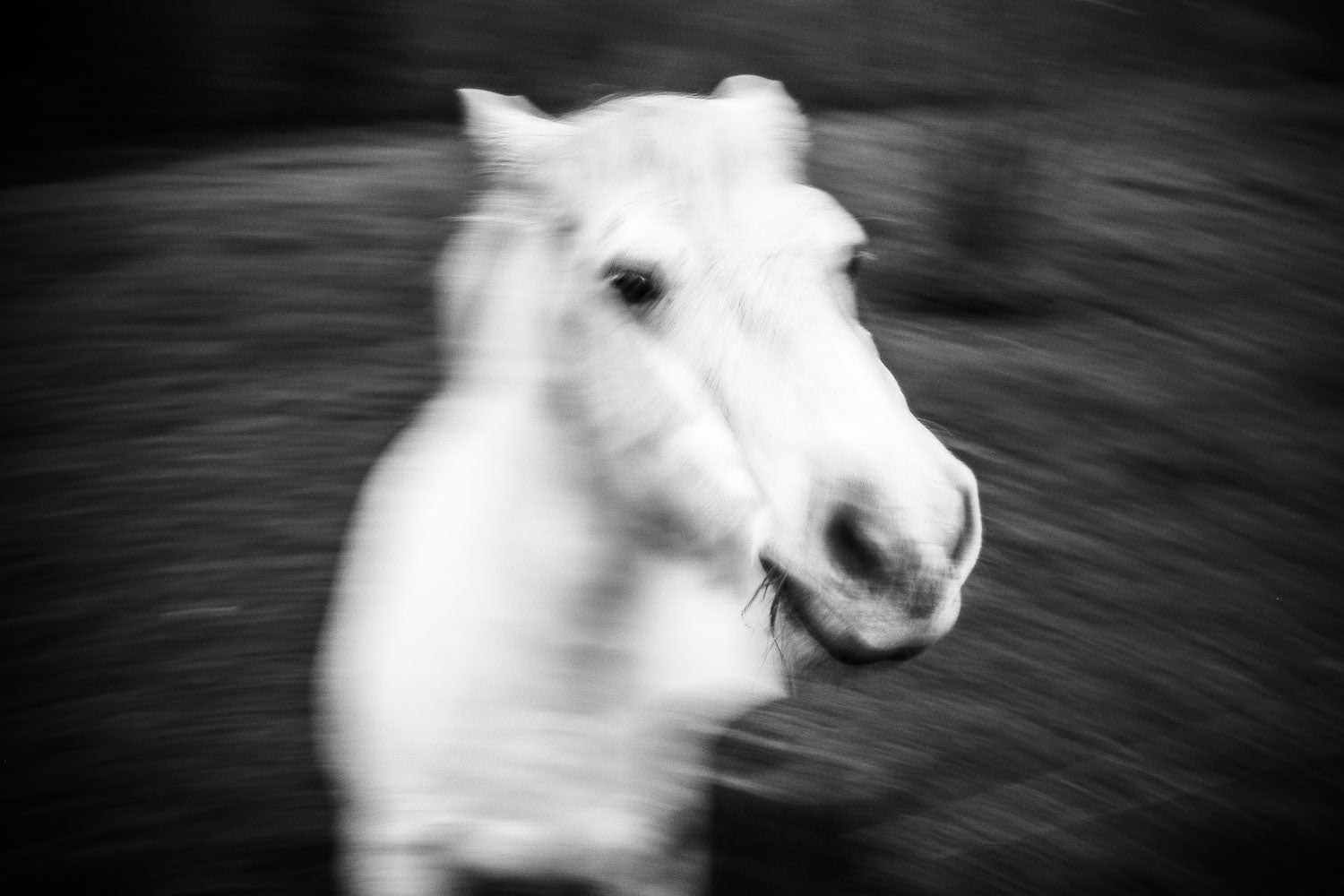 Lumière - Jef Baecker - Photographe