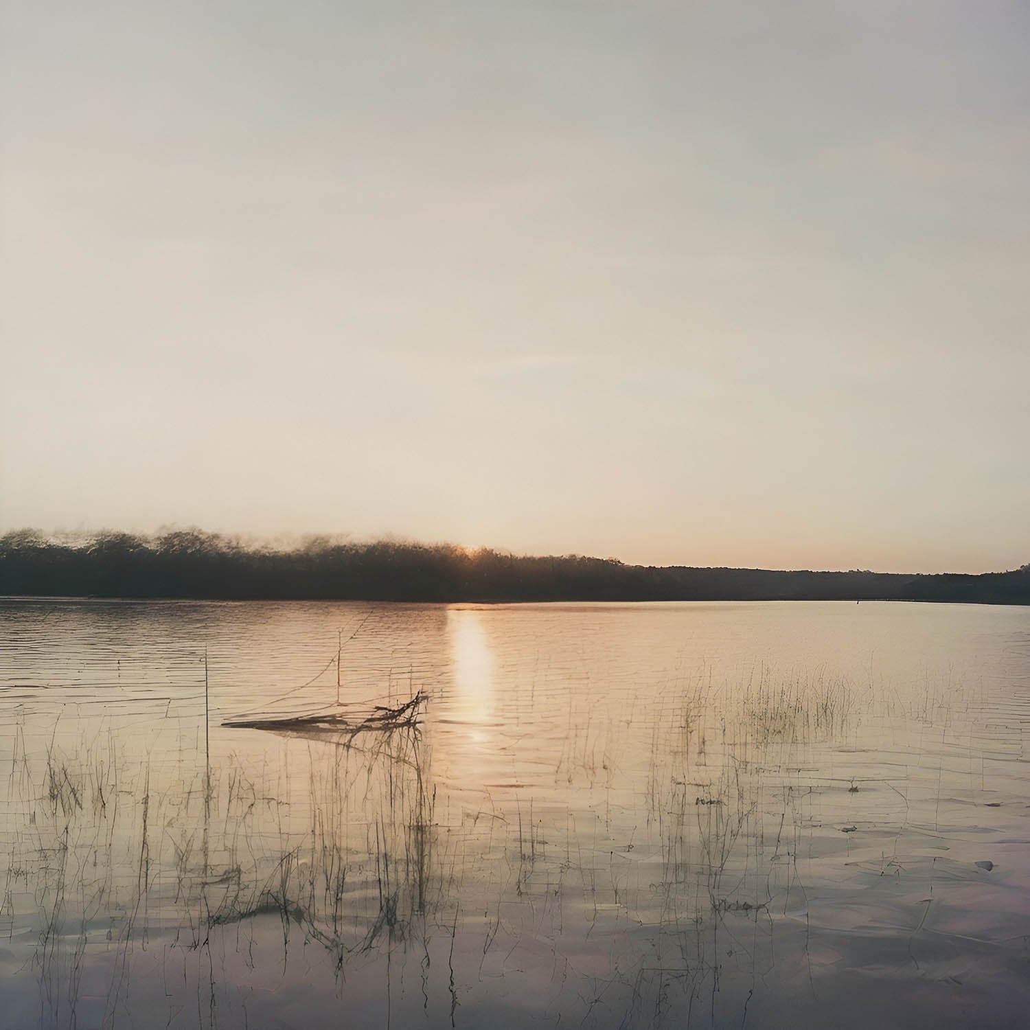 Le calme en surface - Photographie d’art en noir et blanc en édition limitée à collectionner - Jef Baecker